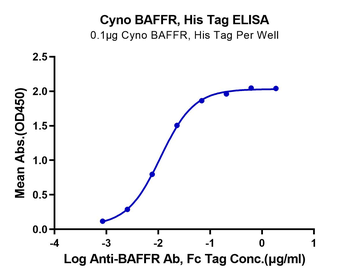 Recombinant Cyn. monkey BAFFR protein, C-His (HEK293)