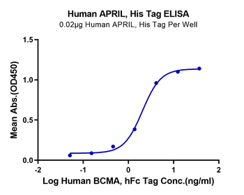 Recombinant human TNFSF13 (Trimer) protein, N-His-Flag (HEK293)