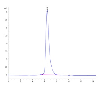 Recombinant SARS-Cov-2 Spike S1 NTD protein, C-His-Flag (HEK293)