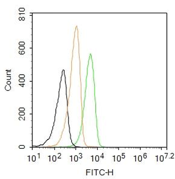 Caspase-1 P10 Rabbit Polyclonal Antibody (FITC)