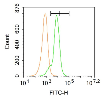CD4 Rabbit Polyclonal Antibody (FITC)