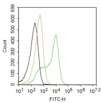 CD4 Rabbit Polyclonal Antibody (FITC)