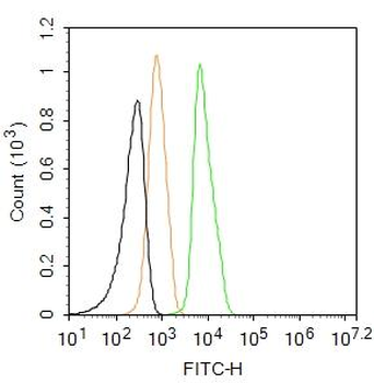 Integrin beta 1 Rabbit Polyclonal Antibody (FITC)