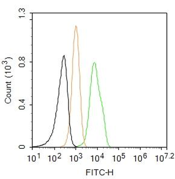 Integrin beta 1 Rabbit Polyclonal Antibody (FITC)