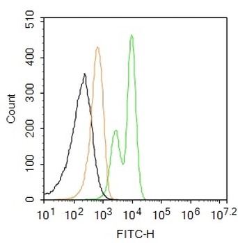 CX3CR1 Rabbit Polyclonal Antibody (FITC)