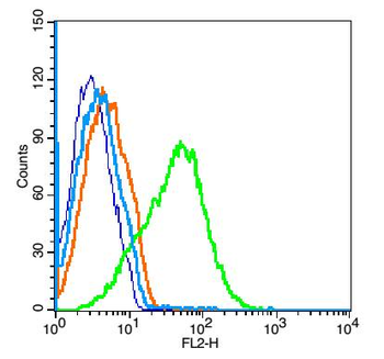 ADRA2C Rabbit Polyclonal Antibody