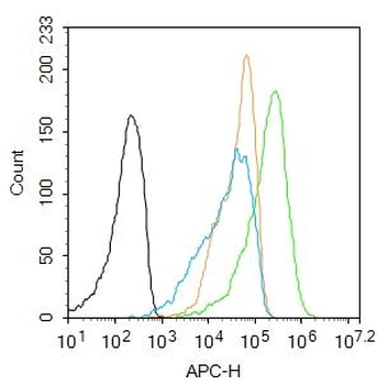 ATXN10 Rabbit Polyclonal Antibody