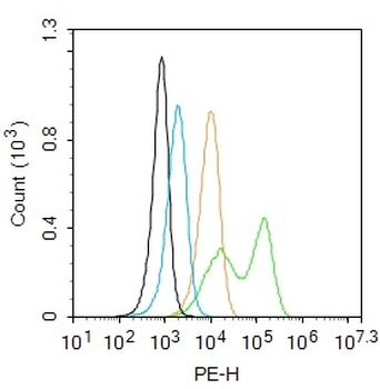 AVPR2 Rabbit Polyclonal Antibody