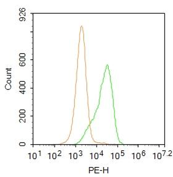 TTC8 Rabbit Polyclonal Antibody