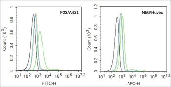 CHRM4 Rabbit Polyclonal Antibody