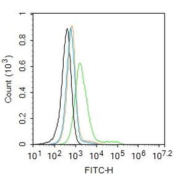 CHRM4 Rabbit Polyclonal Antibody