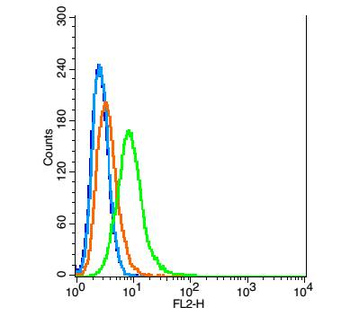 CTLA4 Rabbit Polyclonal Antibody
