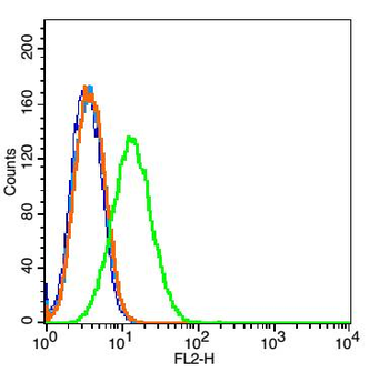 CTLA4 Rabbit Polyclonal Antibody