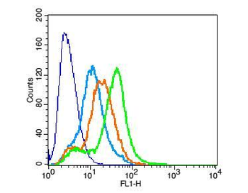 GALR2 Rabbit Polyclonal Antibody