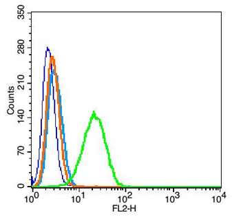 Glutaredoxin 2 Rabbit Polyclonal Antibody