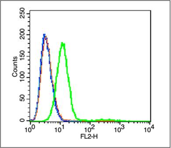 GPR100 Rabbit Polyclonal Antibody