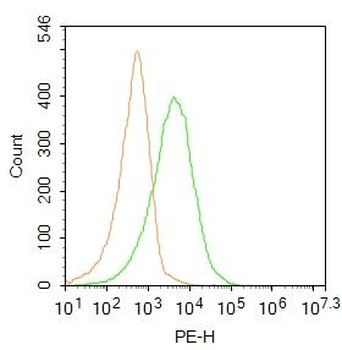 GRIK3 Rabbit Polyclonal Antibody