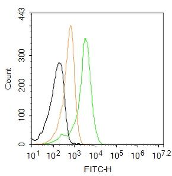 HLA-DRA Rabbit Polyclonal Antibody (FITC)