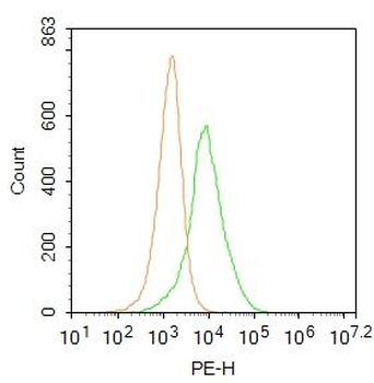 KCTD7 Rabbit Polyclonal Antibody