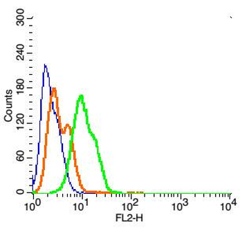 MGLUR3 Rabbit Polyclonal Antibody