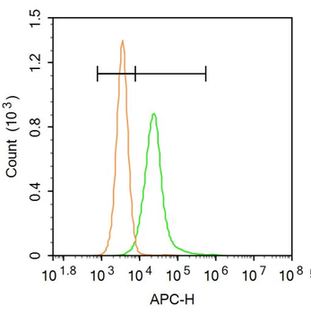 MHC class I Rabbit Polyclonal Antibody