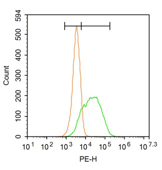 NKCC1/SLC12A2 Rabbit Polyclonal Antibody