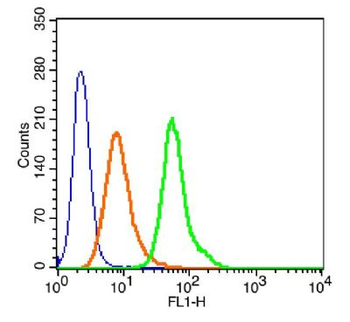 Phospho-c-Fos (Thr325) Rabbit Polyclonal Antibody (BF488)