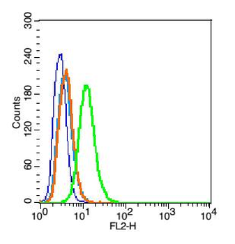 ProSAPiP1 Rabbit Polyclonal Antibody