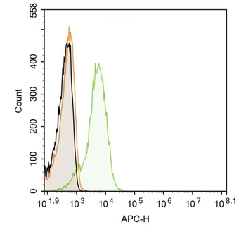 PTGER1 Rabbit Polyclonal Antibody (BF647)