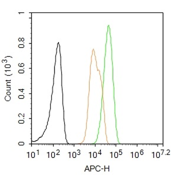 ZO-1/TJP1 Rabbit Polyclonal Antibody (BF647)