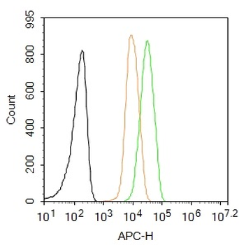 ZO-1/TJP1 Rabbit Polyclonal Antibody (BF647)