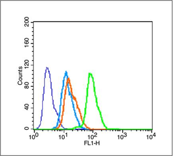 Phospho-Tau (Ser202) Rabbit Polyclonal Antibody