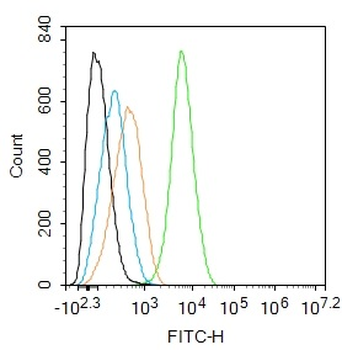 THRB1 Rabbit Polyclonal Antibody