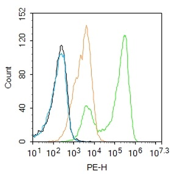 THRB1 Rabbit Polyclonal Antibody