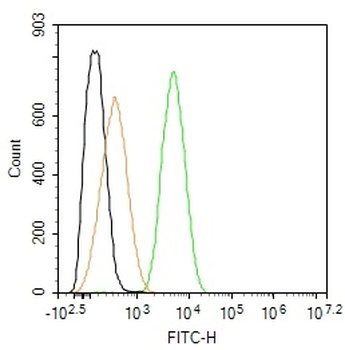 Giantin Rabbit Polyclonal Antibody (BF488)