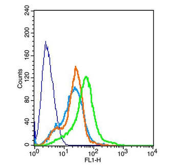 PTPRN Rabbit Polyclonal Antibody