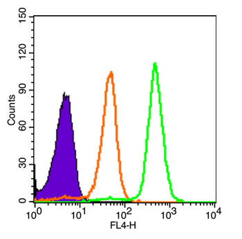 KIT Rabbit Polyclonal Antibody (BF647)