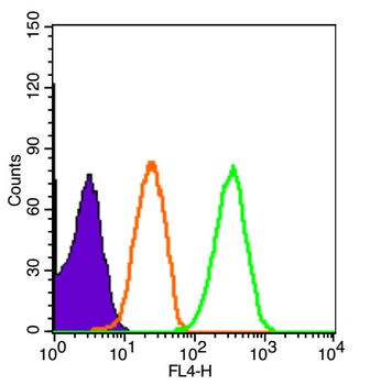VWF Rabbit Polyclonal Antibody
