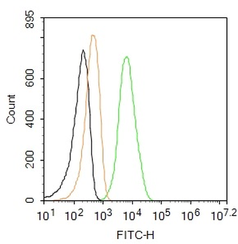 Vimentin Rabbit Polyclonal Antibody (BF488)