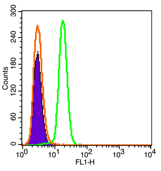 TPOR Rabbit Polyclonal Antibody (BF647)