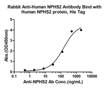 NPHS2 Rabbit Polyclonal Antibody