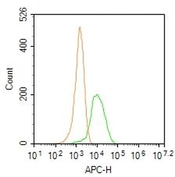 HLA-DPB1 Rabbit Polyclonal Antibody (BF647)