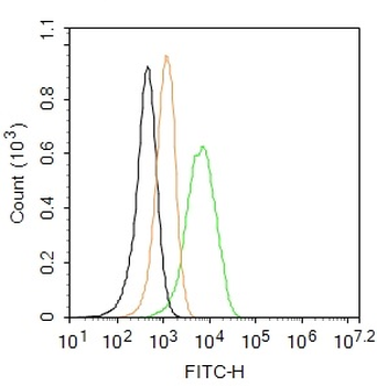 PDGF-B Rabbit Polyclonal Antibody (FITC)