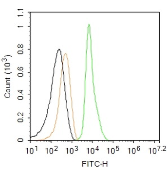 Vimentin Rabbit Polyclonal Antibody (FITC)