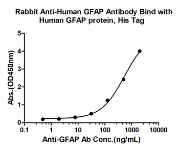 GFAP Rabbit Polyclonal Antibody