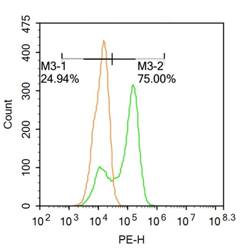 Dlx1 Rabbit Polyclonal Antibody