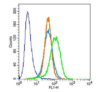 Cardiac Troponin T Rabbit Polyclonal Antibody