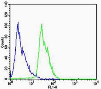 DRD1 Rabbit Polyclonal Antibody