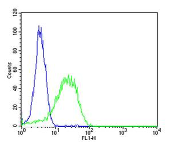 DRD1 Rabbit Polyclonal Antibody