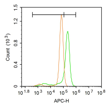 ELF4 Rabbit Polyclonal Antibody